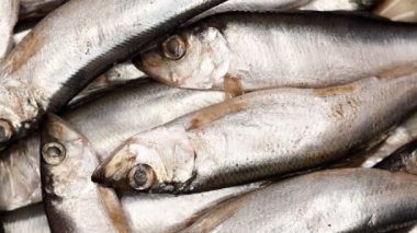 Baharatlı ve otlu ançüez. Bir sürü çiğ tuzlu ançüez balığı. Üst Manzara. Deniz ürünleri geçmişi. 