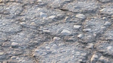 Macro, yoldaki beton asfalt çatlaklarına yakından bakıyor. Çatlak asfalt yol. Yol desenli arkaplan.