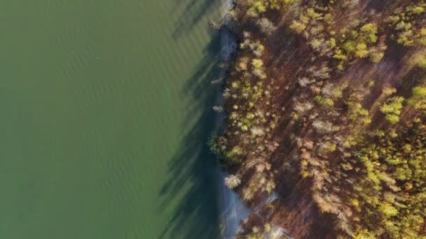 Letecký Pohled Shora Dolů Podzimní Les Zelenými Žlutými Stromy Řekou — Stock video