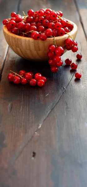 Ripe Red Currant Berries Metal Bucket — Stock Photo, Image