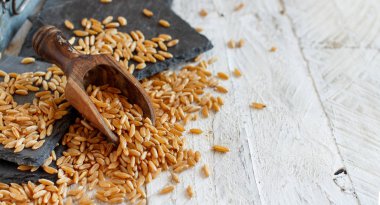 Ham Kamut tahıl bir tahta kaşık ile yakın çekim
