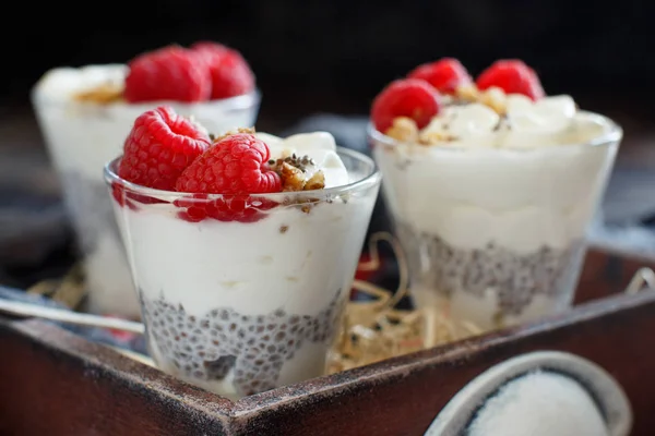 Frambozen Yoghurt Chia Pudding Parfait Een Glas Close — Stockfoto