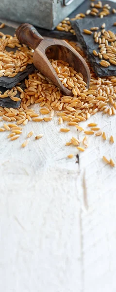 Rohes Kamut Korn Einer Holzschüssel Mit Einem Löffel — Stockfoto