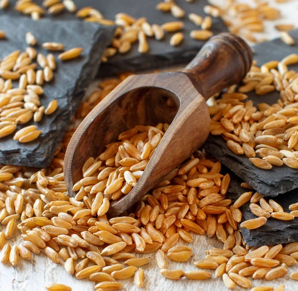 Grano Crudo Kamut Tazón Madera Con Una Cuchara — Foto de Stock