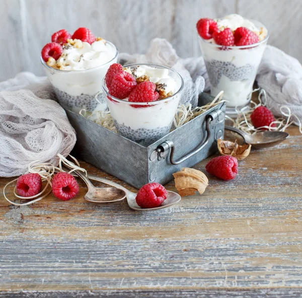 Maliny Jogurt Chia Pudink Parfait Sklenici Zblízka — Stock fotografie