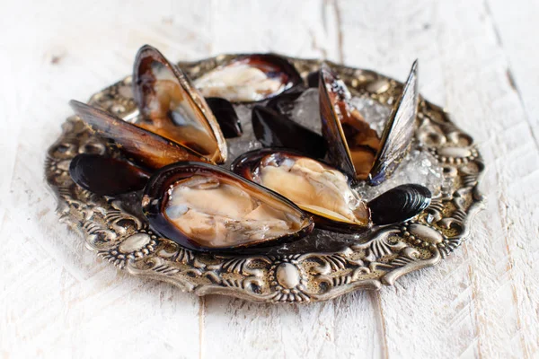 Fresh Uncooked Italian Mussels Tray Close — Stock Photo, Image