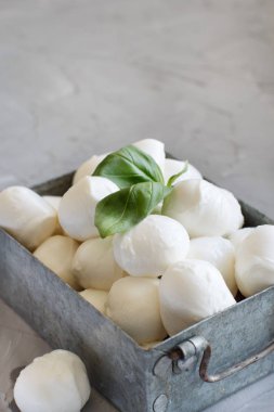 İtalyan peynir mozzarella peyniri Fesleğenli bir kasede yakın çekim