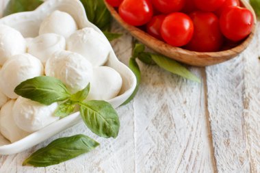 Domates ve fesleğen - İtalyan peynir mozzarella caprese salatası