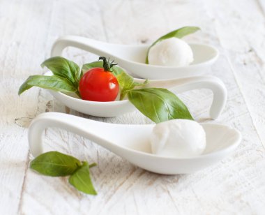 Domates ve fesleğen - İtalyan peynir mozzarella caprese salatası