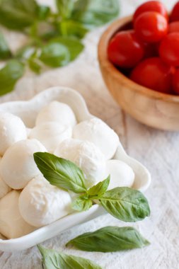Domates ve fesleğen - İtalyan peynir mozzarella caprese salatası