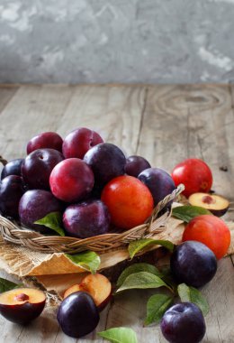 Ahşap bir masa yapraklarda ile taze erik yakın çekim