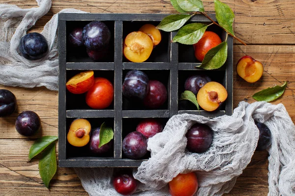 stock image Fresh plums with leaves in a wooden box top view