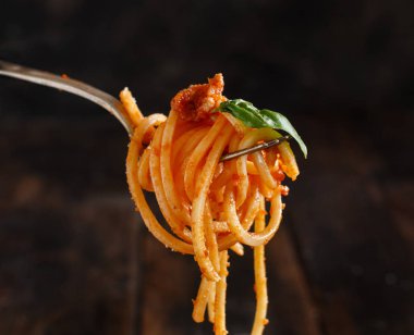 Bir çatal ile Bolonez soslu spagetti makarna yakın çekim