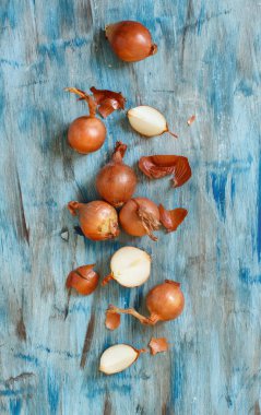 Bir mavi ahşap tahta üstüne sarı soğan görüntülemek