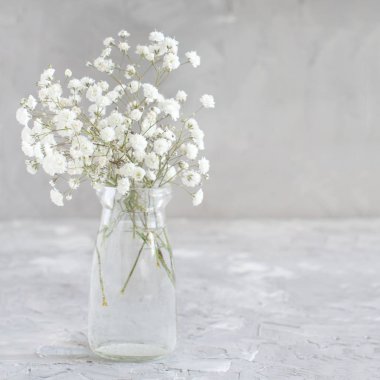 Buket küçük beyaz gri bir arka plan üzerinde bir kavanoz içinde