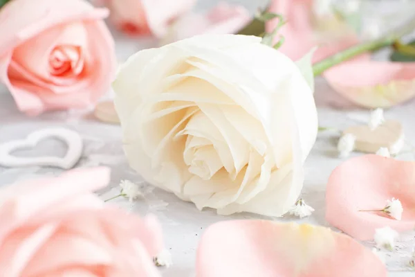 粉红色和奶油玫瑰与心脏在灰色背景 — 图库照片