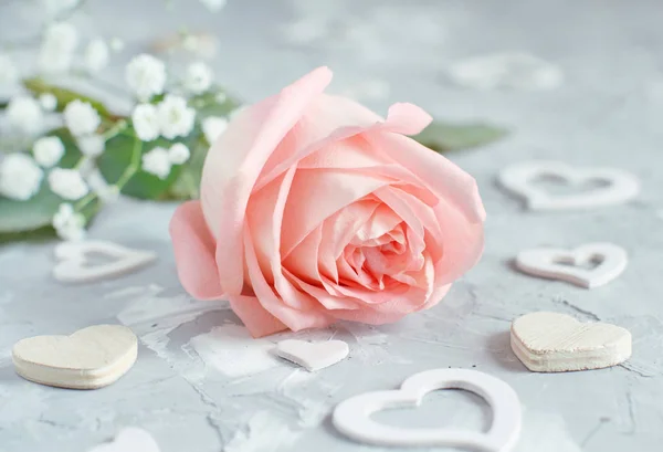 Рожева Троянда Серцями Сірому Фоні — стокове фото