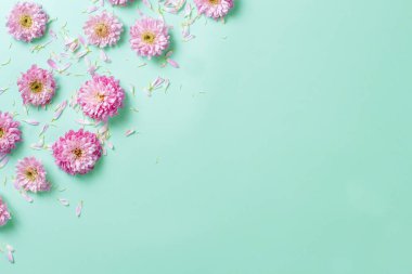 Çiçek ve yaprakları pastel bir arka plan üzerinde çiçekler kompozisyonu