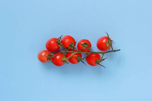 Tomates Cereja Fundo Azul Fechar — Fotografia de Stock