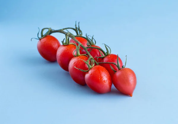 Wiśniowe Pomidory Niebieskim Tle Bliska — Zdjęcie stockowe
