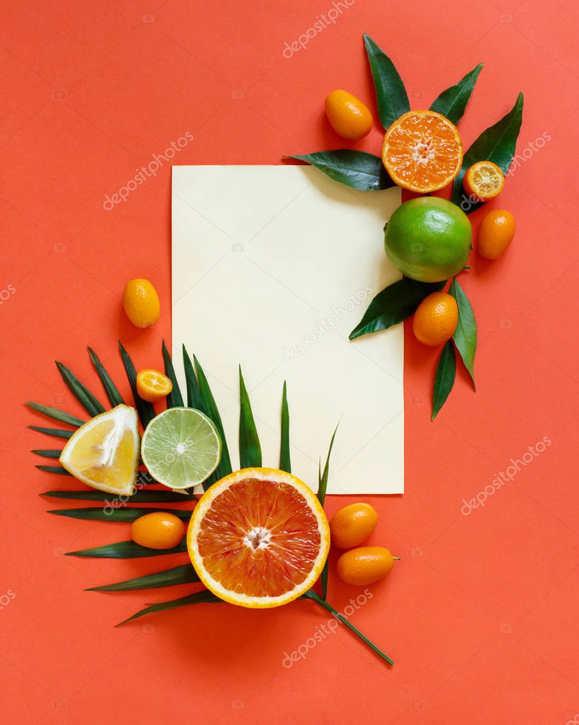 Citrus fruits on a coral red background