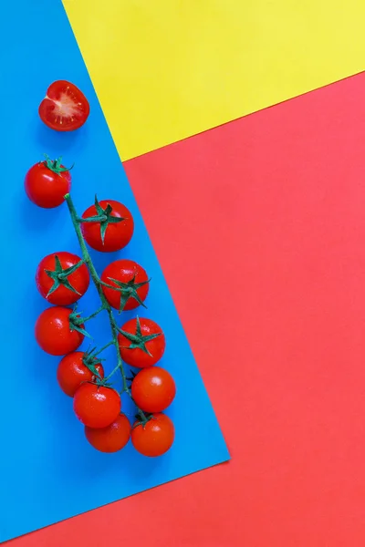 Tomates cereja em um fundo azul, vermelho coral e amarelo — Fotografia de Stock