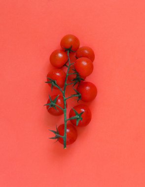 Bir mercan kırmızı arka plan üzerinde Kiraz domates