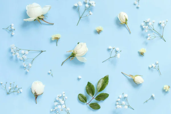 Квіти на світло-синьому фоні — стокове фото