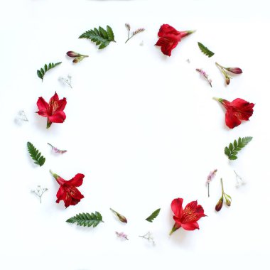 Beyaz arkaplanda çiçekler