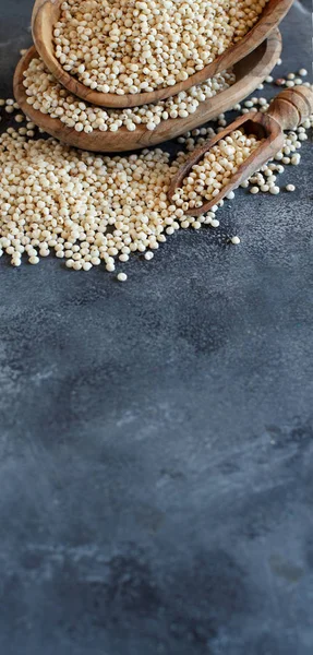 Grano de sorgo blanco crudo —  Fotos de Stock