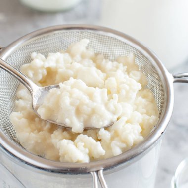 Kefir tahıl ve fermente içecek kefir