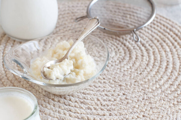 Kefir grains and  fermented drink kefir