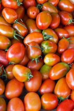 Bir çiftçi pazarında küçük kırmızı domates