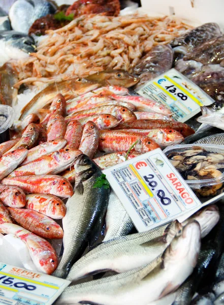 Smíšené ryby na prodej na trhu — Stock fotografie