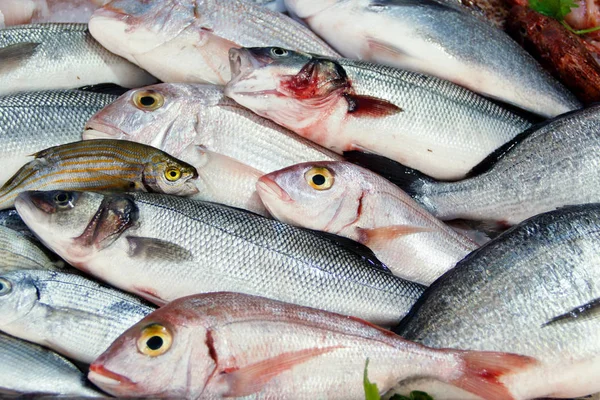 Pescado mixto a la venta en un mercado — Foto de Stock