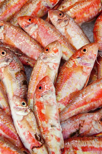Bunch of red mullet fishes on ice at fish market — Stock Photo, Image