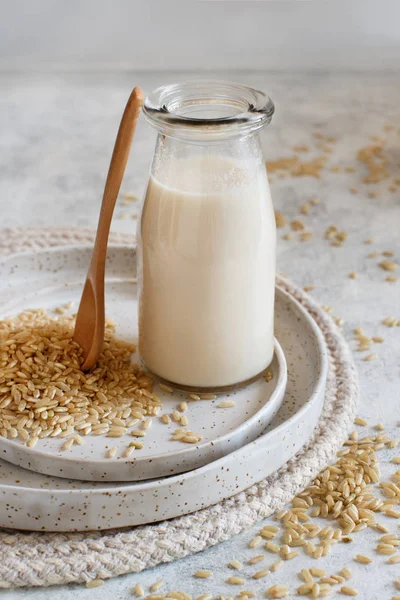 Leite de arroz Vegan, leite alternativo não lácteos — Fotografia de Stock