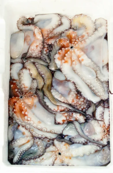Świeże ośmiornice w pudełku na targu rybnym — Zdjęcie stockowe