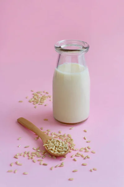 Lait végétalien de riz, lait alternatif non laitier — Photo