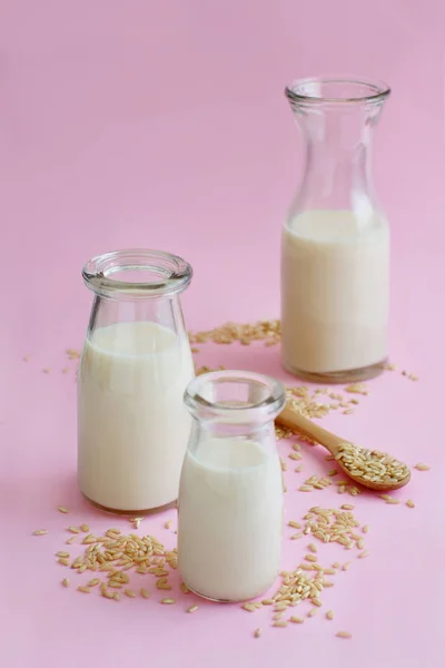 Vegane Reismilch, alternative Milch ohne Milchprodukte — Stockfoto