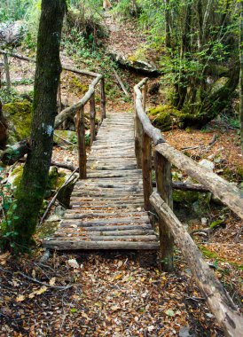 Morigerati doğal rezerv yol