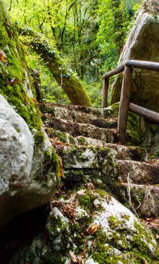 Morigerati doğal rezerv taş merdivenler