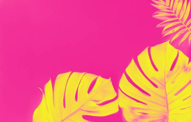 Sarı Monstera ile tropikal arka plan pembe bir backgr üzerinde yaprakları