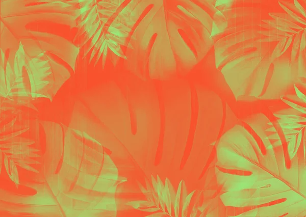 Фон с зелеными листьями Monstera на коралловом красном — стоковое фото