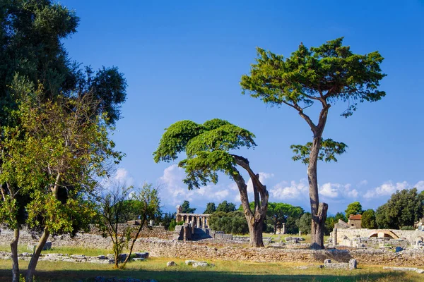 Krajobraz z grecką świątynią. Paestum, Włochy — Zdjęcie stockowe