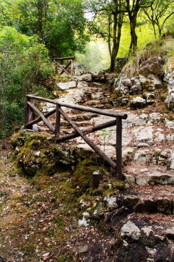 Morigerati doğal rezerv taş merdivenler