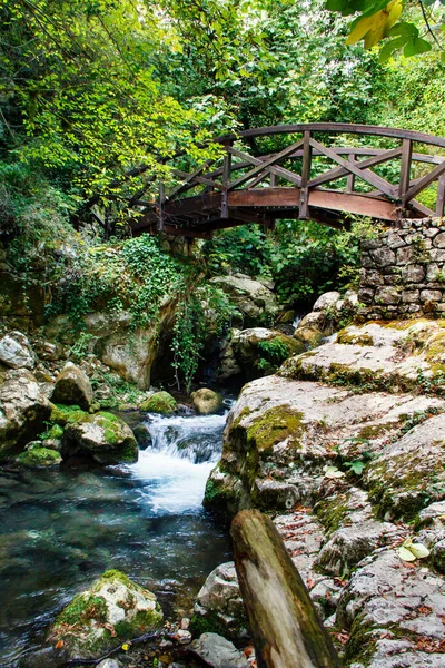 Pont en bois dans la réserve naturelle de Morigerati — Photo