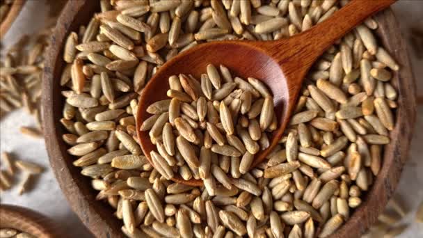 Raw rye seeds in a bowl — Stock Video