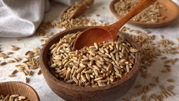 Raw rye seeds in a bowl — Stock Video