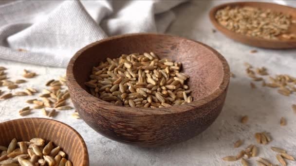 Raw rye seeds in a bowl — Stock Video